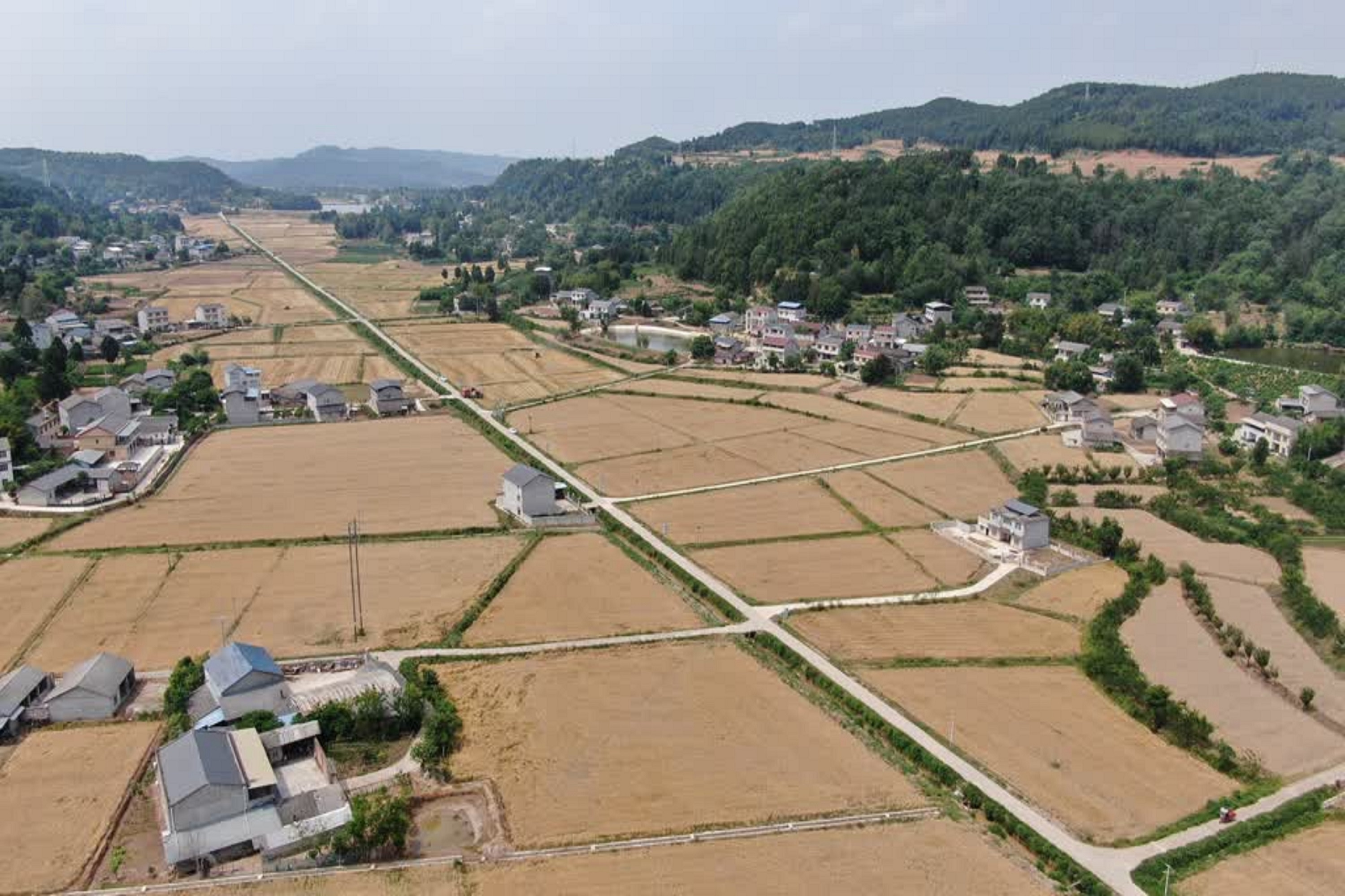 「管烘管存管賣」川綿陽遊仙烘乾基地護航糧食顆粒歸倉