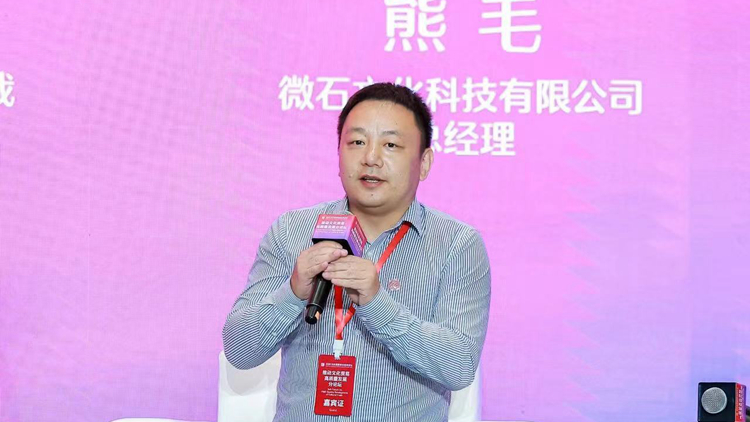 微石文化科技有限公司總經理熊毛：將文化與潮玩融合 為中華優秀傳統文化發展注入新活力