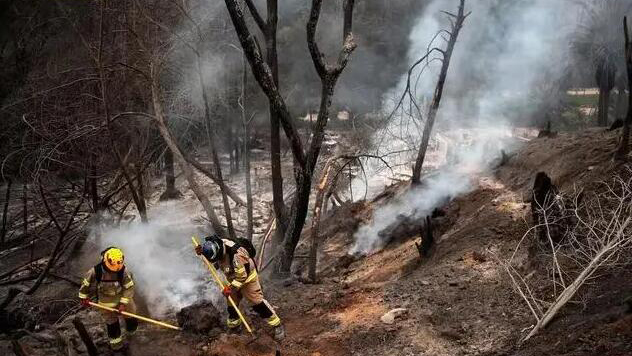 2人涉嫌引燃智利森林大火被捕 其中一人為消防員