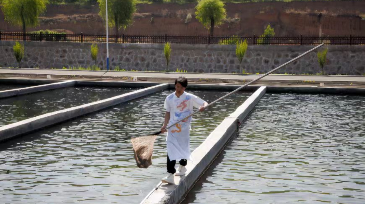 山西沁水：三文魚產業助農增收致富