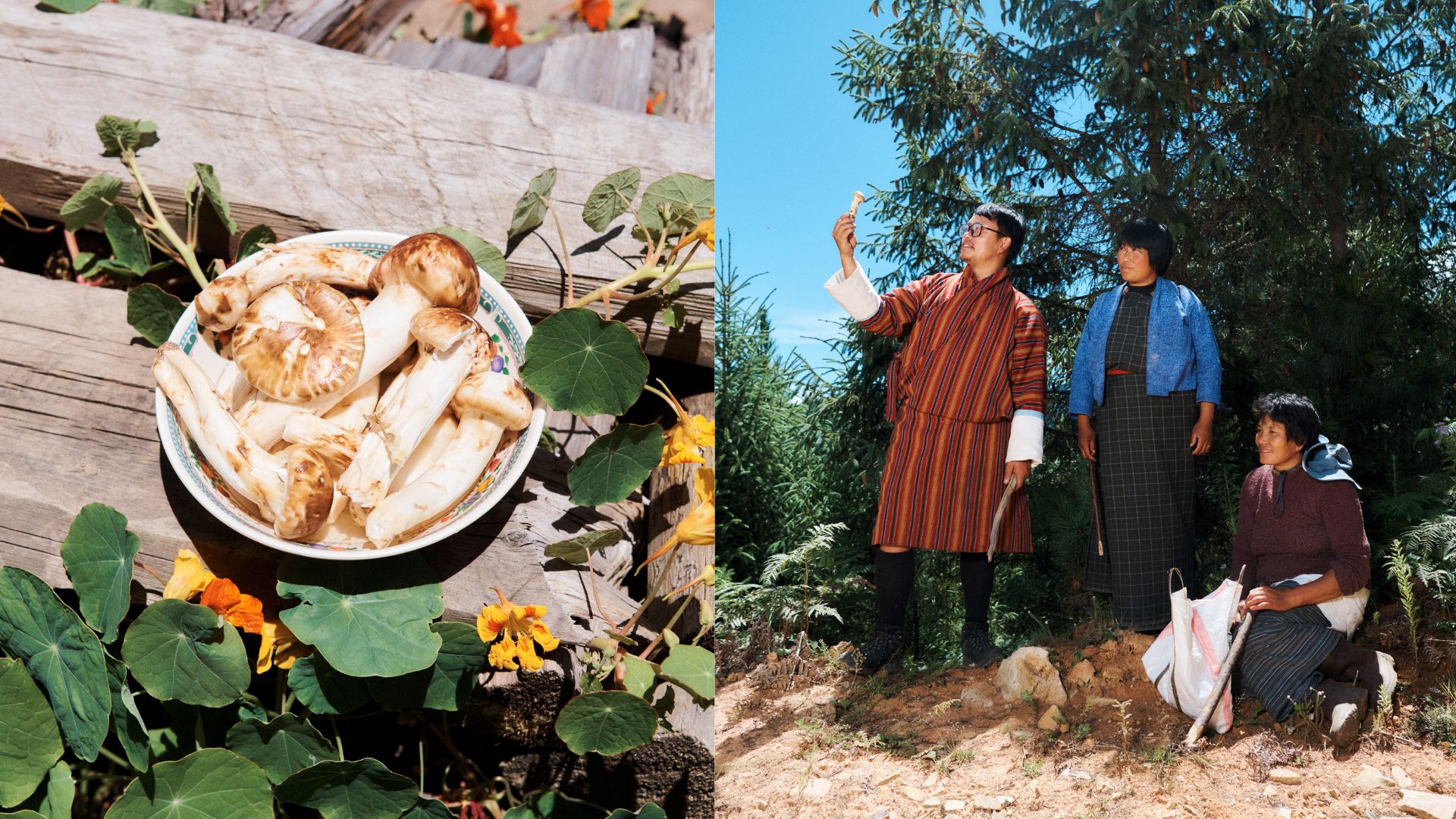 【旅遊】探索不丹蘑菇節