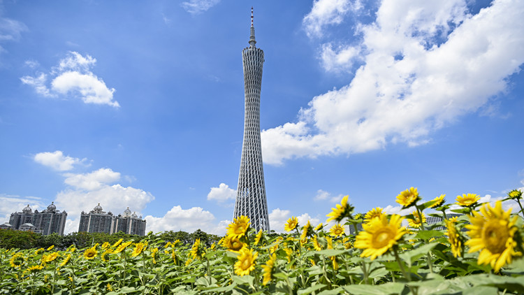 聯「灣」成「圈」 粵港澳大灣區深度融合再「加碼」