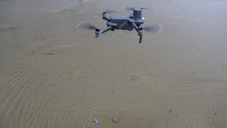 海洋公園首個無人機系統研究 協助馬蹄蟹種群普查保育工作
