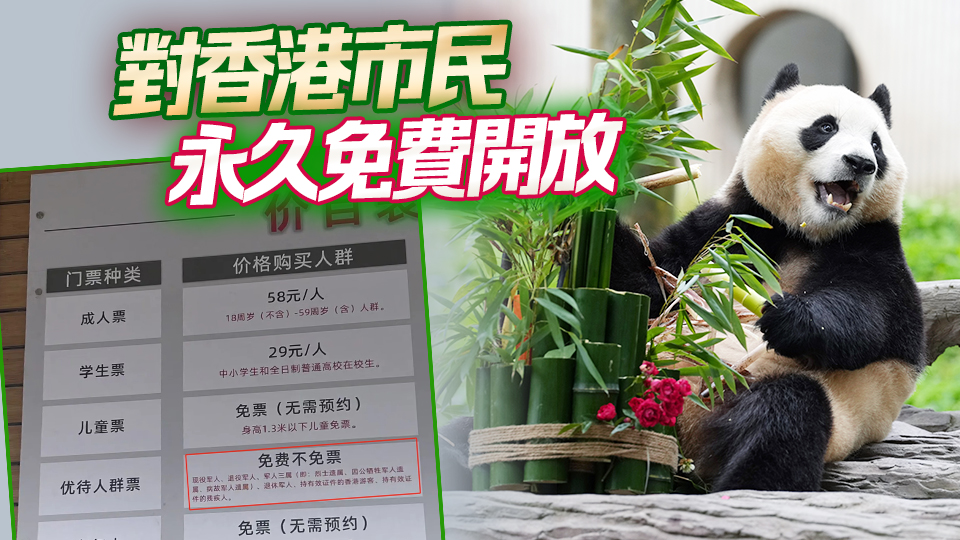 香港市民看福寶為何免費？細數熊貓與香港的淵源 