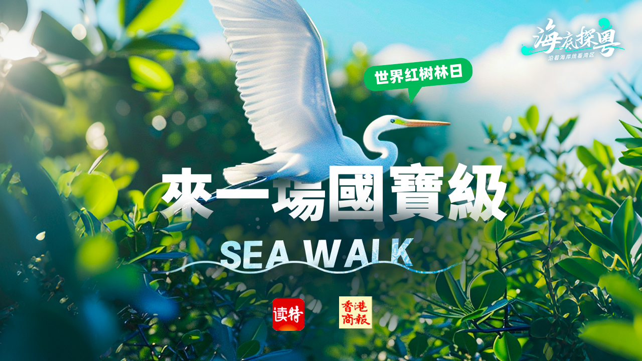 直播丨世界紅樹林日，來一場「國寶級」Sea Walk