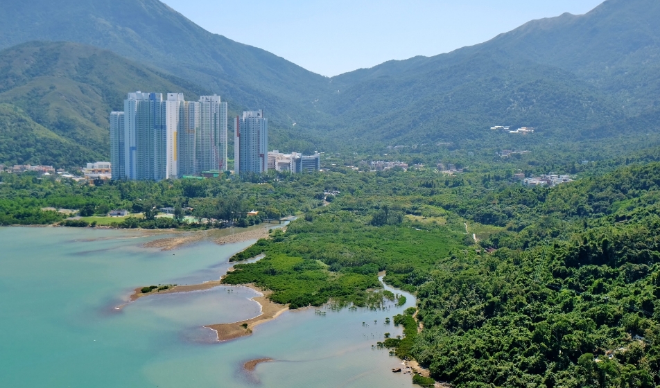 東涌河首次發現亞洲秘蜻 環團促保育鄰近濕地生態