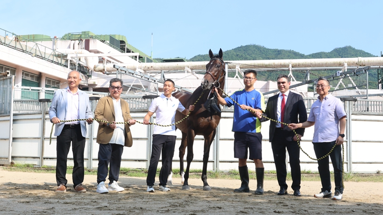 有片｜三屆馬王金鎗六十光榮退役 沙田馬場9·22舉辦歡送會