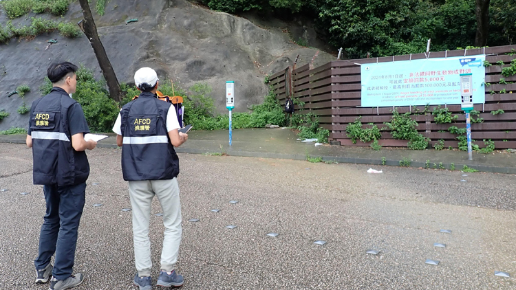 漁護署：新例生效兩個月共發39張違規餵飼野生動物罰單