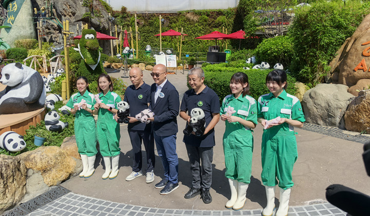 有片丨海洋公園：正籌備熊貓直播 料龍鳳胎寶寶春節與公眾見面