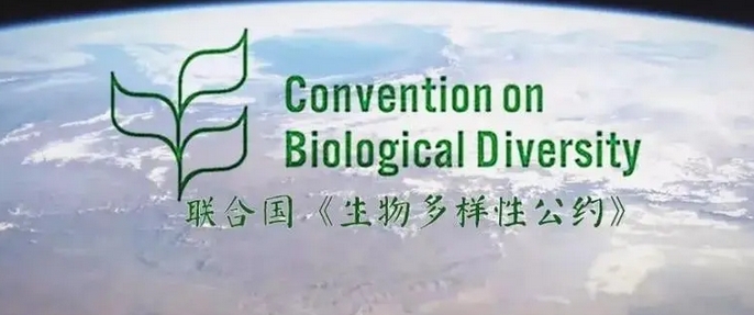  聯合國《生物多樣性公約》第十六次締約方大會開幕 