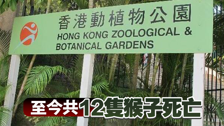 康文署：香港動植物公園再多一隻白臀長尾猴死亡