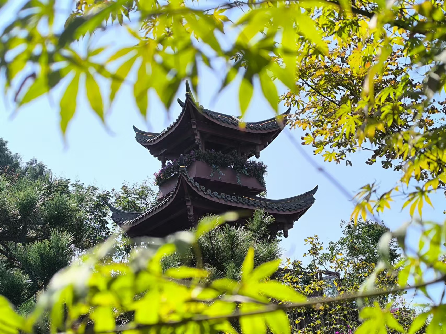 秋日探園 感受多彩園藝世界