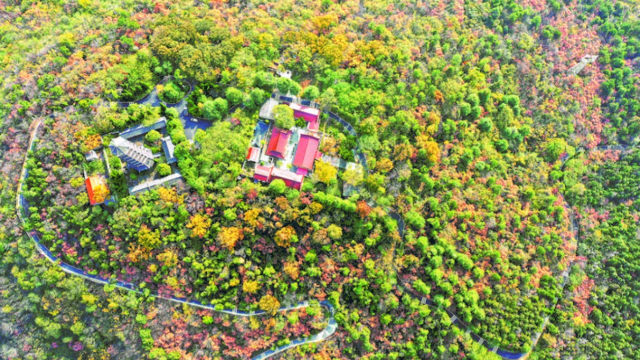 安徽巢湖：鼓山景區環山路煥新