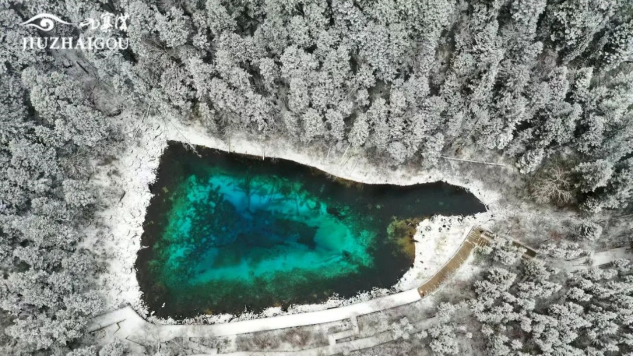 有片丨九寨溝喜降瑞雪  為大熱的四川冬季旅遊再添「一把火」