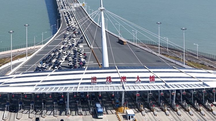 港珠澳大橋去年客流車流量創新高