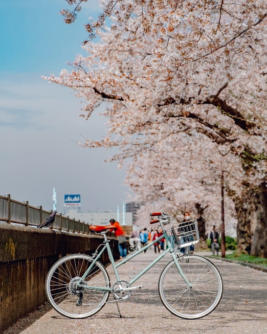 712_OceanPopWalk_tokyobike期間限定店_PopWalk_X_ tokyobike_將軍澳跨灣大橋單車導賞遊_l.jpg