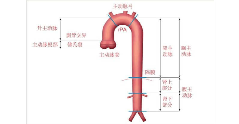 港澳藥械通」首械「磁力可控延長鈦棒」投入臨床使用-香港商報