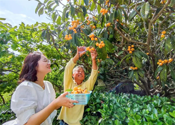 惠萍鎮果園村已發展成為啟東市最大的果品生產基地，梨子、桃子、橘子、枇杷、葡萄、甜瓜……應有盡有，多年形成的「瓜果經濟」富了3000多村民。.jpg
