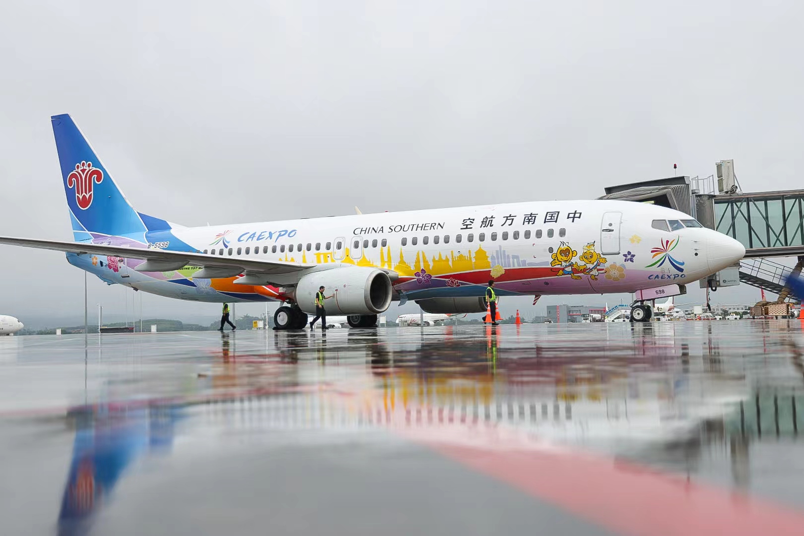 2、南航“中國—東盟博覽會號”彩繪飛機.jpg