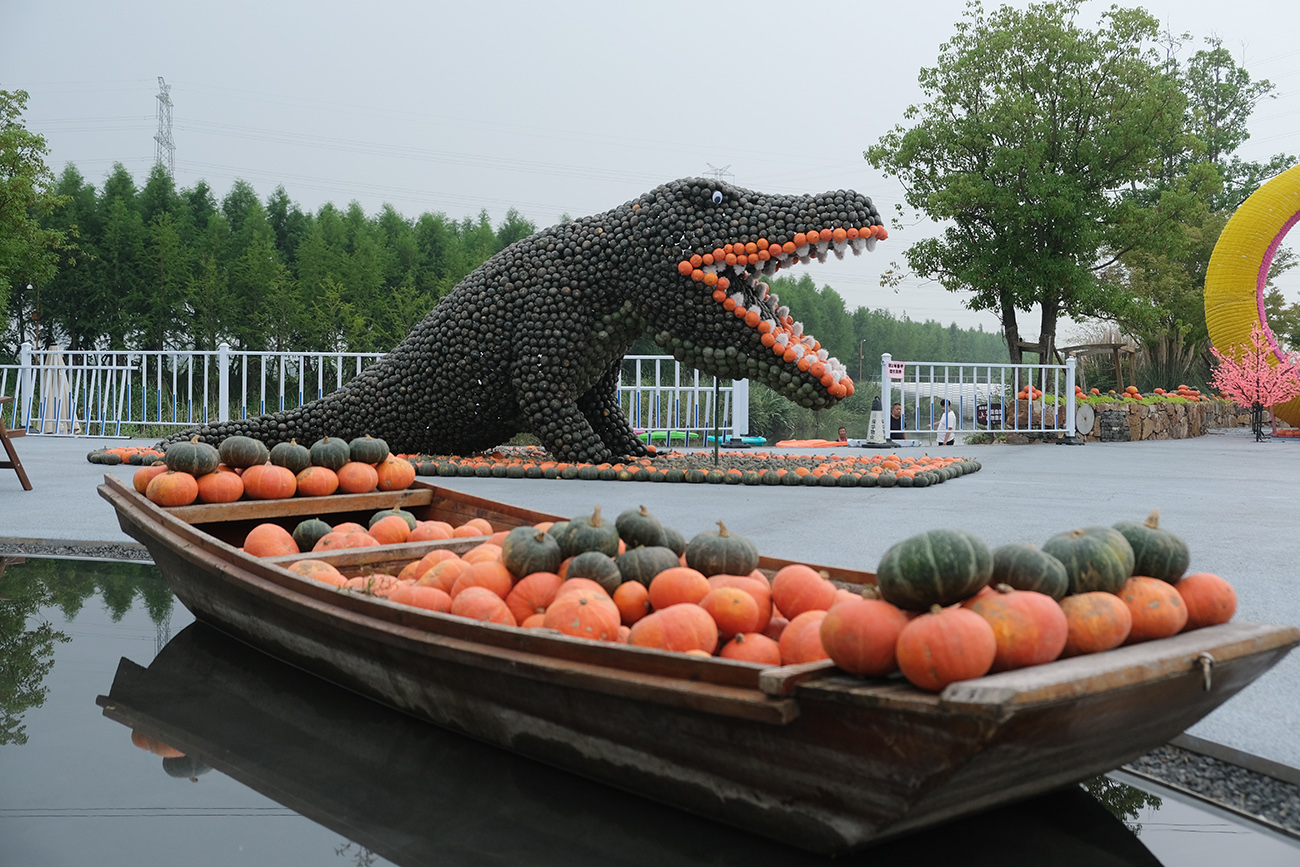 南通都市農業公園內，由南瓜拼組而成的鱷魚、畫舫妙趣橫生。.jpg